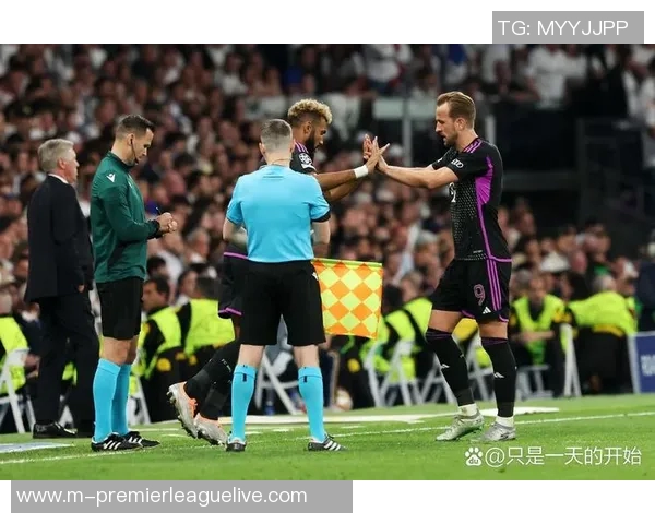 凯恩对决凯恩：足球场上的双重身份与命运交织